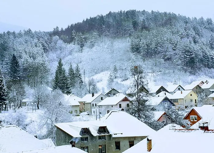 Apartmani Aleksandra