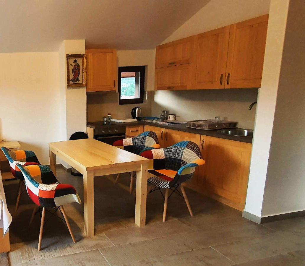 Appartement Aleksandra Kolašin